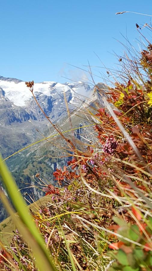Virgentaler Alp Villa Prägraten Dış mekan fotoğraf